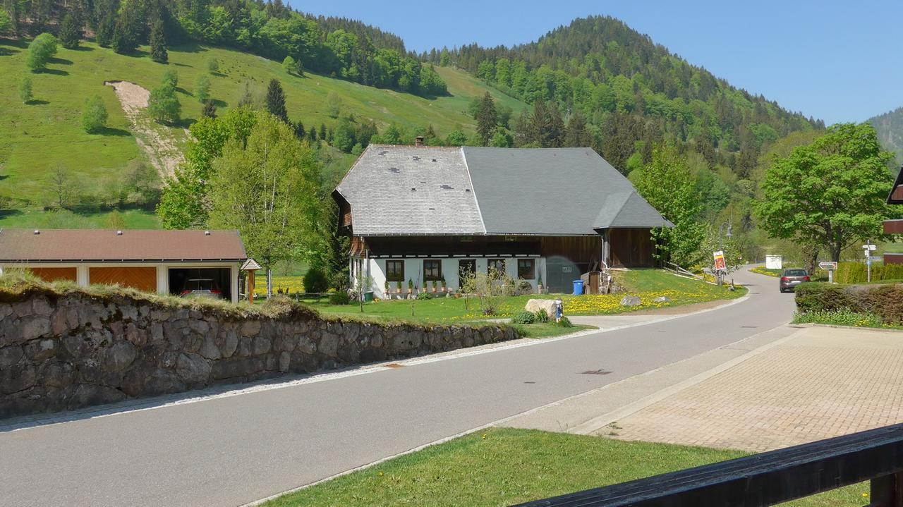 Gaestehaus Kaiser Menzenschwand-Hinterdorf Exteriör bild